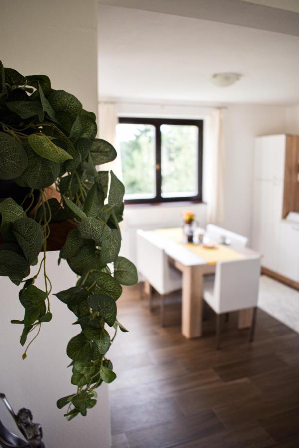 Appartamento House Narta - Rastoke Slunj Esterno foto