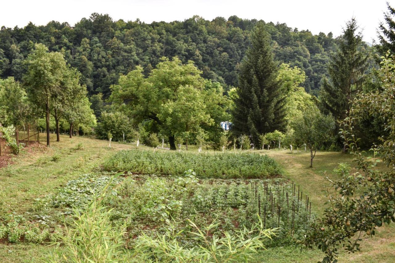 Appartamento House Narta - Rastoke Slunj Esterno foto