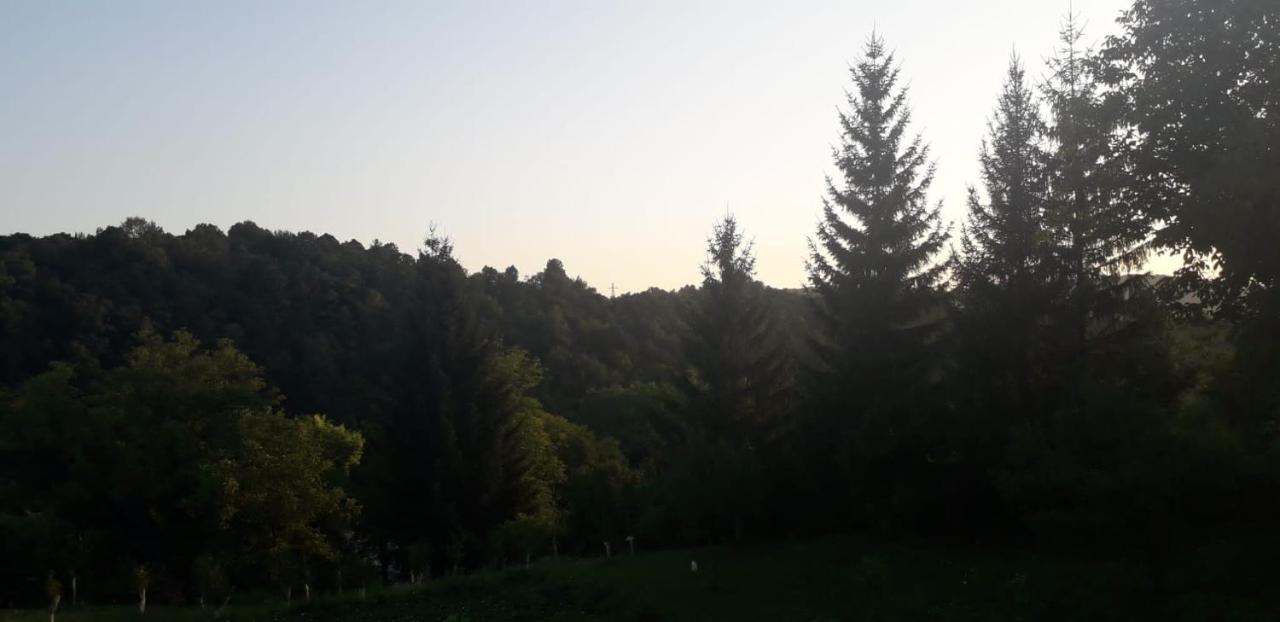 Appartamento House Narta - Rastoke Slunj Esterno foto